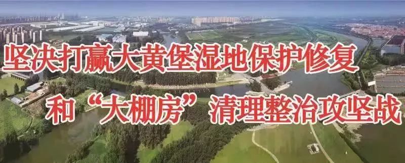 武清华北城大红门,武清华北城与大红门