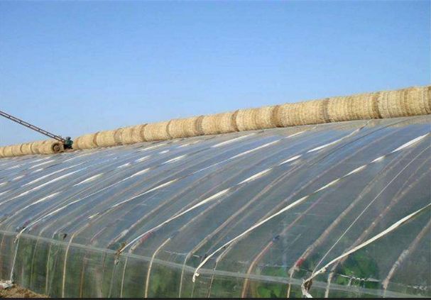 高锰酸钾消什么毒,高锰酸钾能防烂根吗