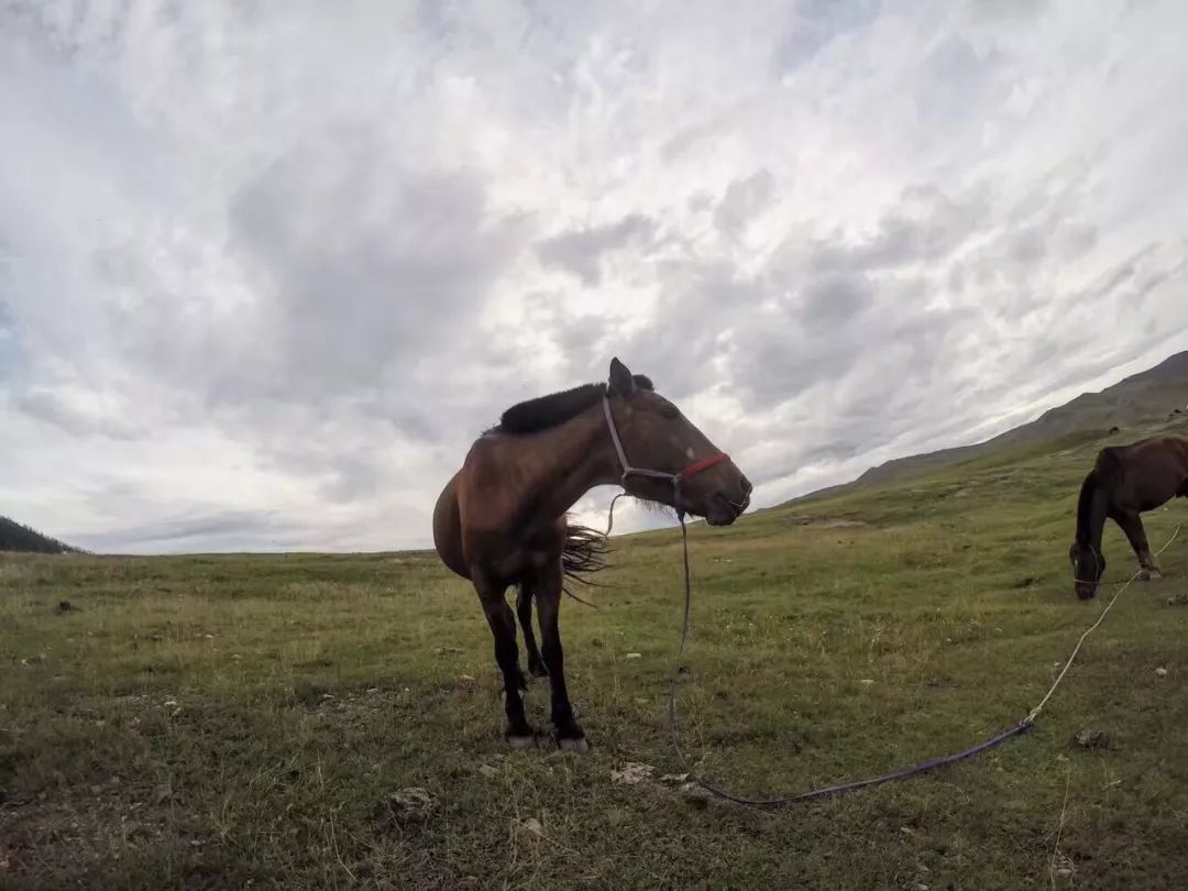 那个开着旅行咖啡车的女孩,暂别荒野重返都市