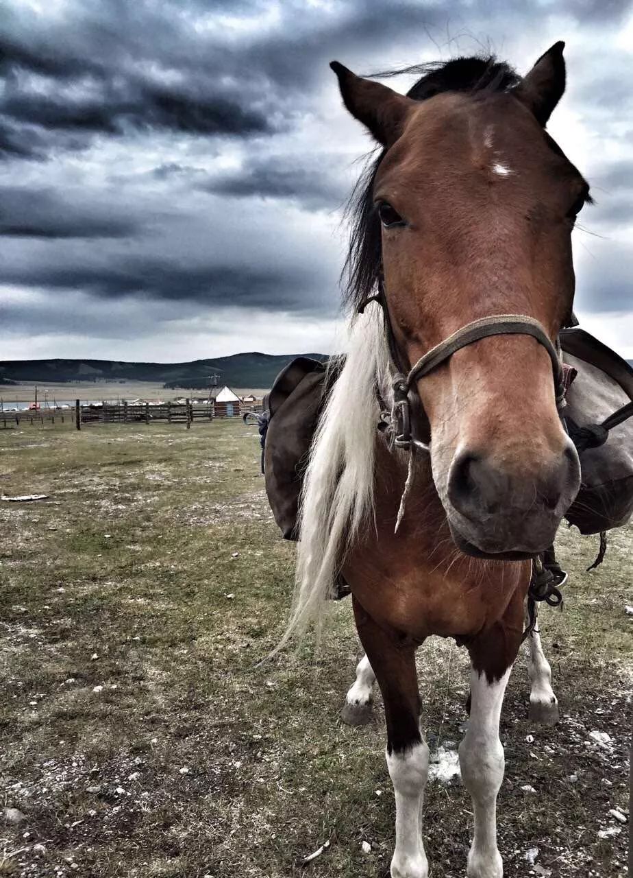 那个开着旅行咖啡车的女孩,暂别荒野重返都市