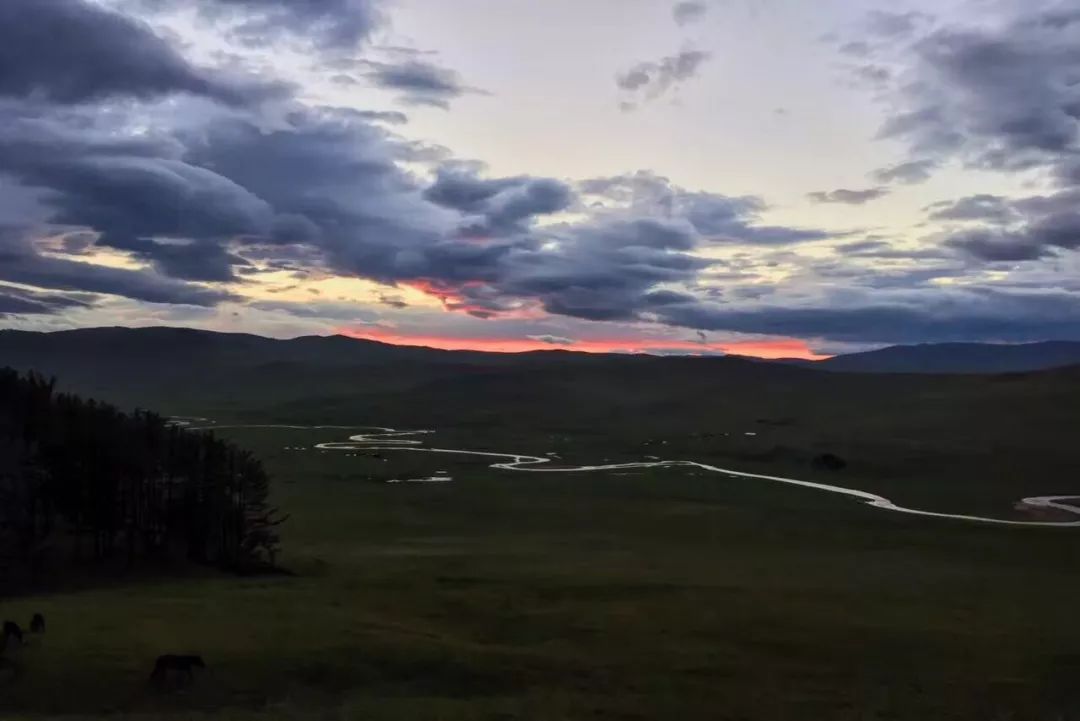 那个开着旅行咖啡车的女孩，暂别荒野重返都市