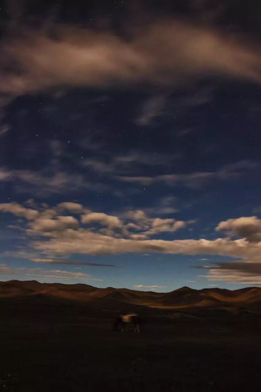 那个开着旅行咖啡车的女孩,暂别荒野重返都市