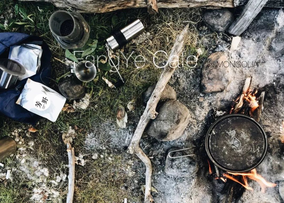 那个开着旅行咖啡车的女孩,暂别荒野重返都市