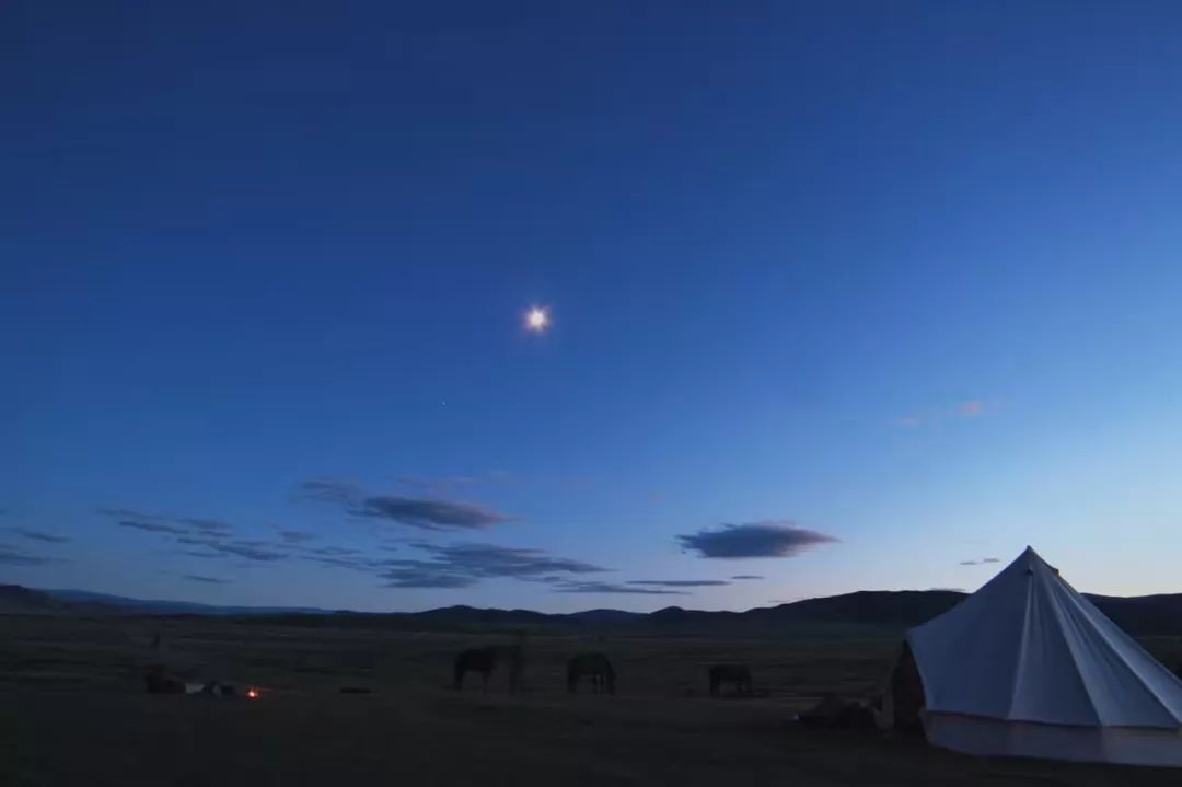 那个开着旅行咖啡车的女孩,暂别荒野重返都市
