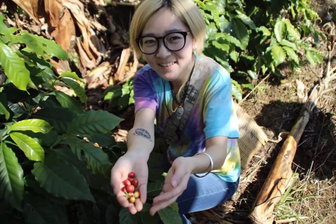 那个开着旅行咖啡车的女孩,暂别荒野重返都市