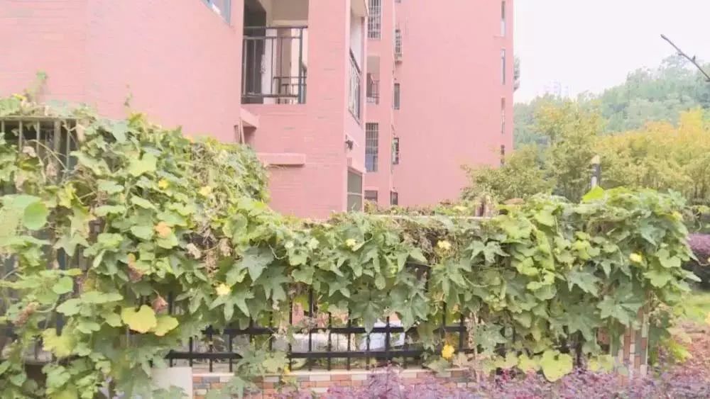 小区所有占用空间都违法吗,占用公共空间怎么维权