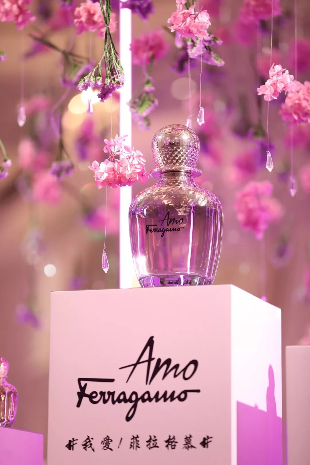 香水推荐持久留香菲拉格慕,送女友香水福利大放送