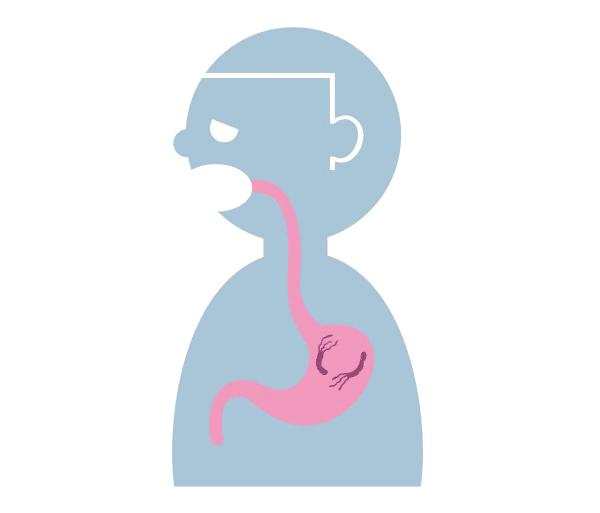 生活中有哪些常见凶险的致病菌,非常危险的致病菌有哪些