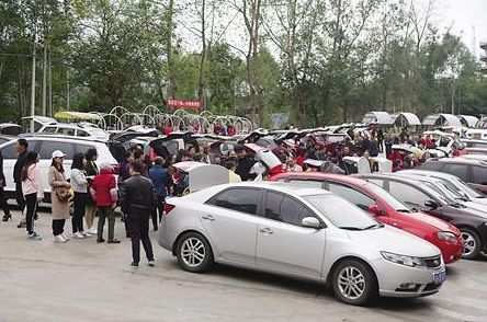 电商经济仍大有可为,左手社交