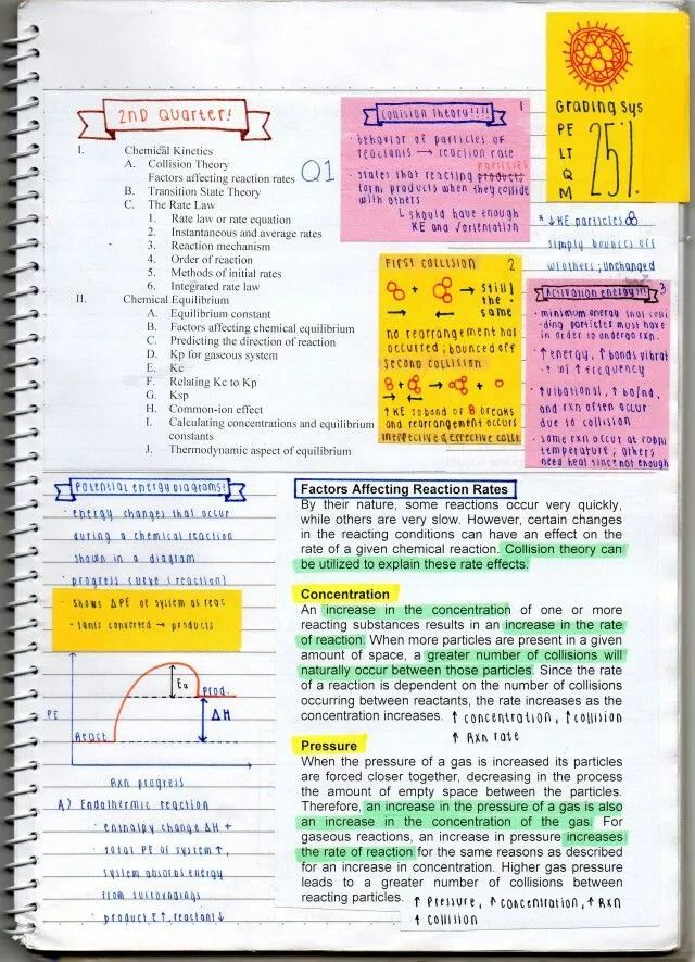 拍了一个礼拜的照片，终于写好了这份post-it*法大**！学霸学渣都适用啊！
