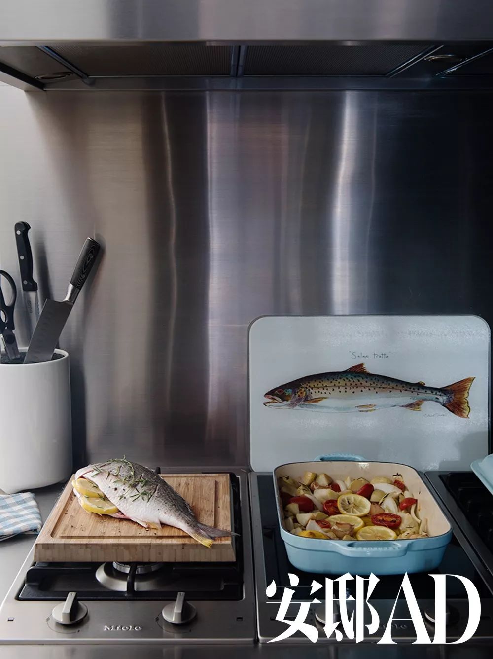 当单身公寓里有了女主人，一切都变得不一样……