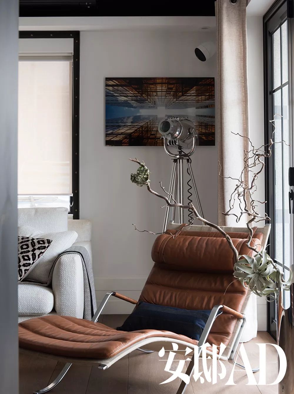 当单身公寓里有了女主人，一切都变得不一样……