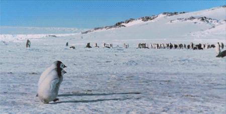 女人最危险的时期,什么时候是女人的安全期和危险期