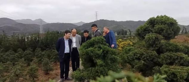 远道而来的客人，宁波北仑欢迎您！