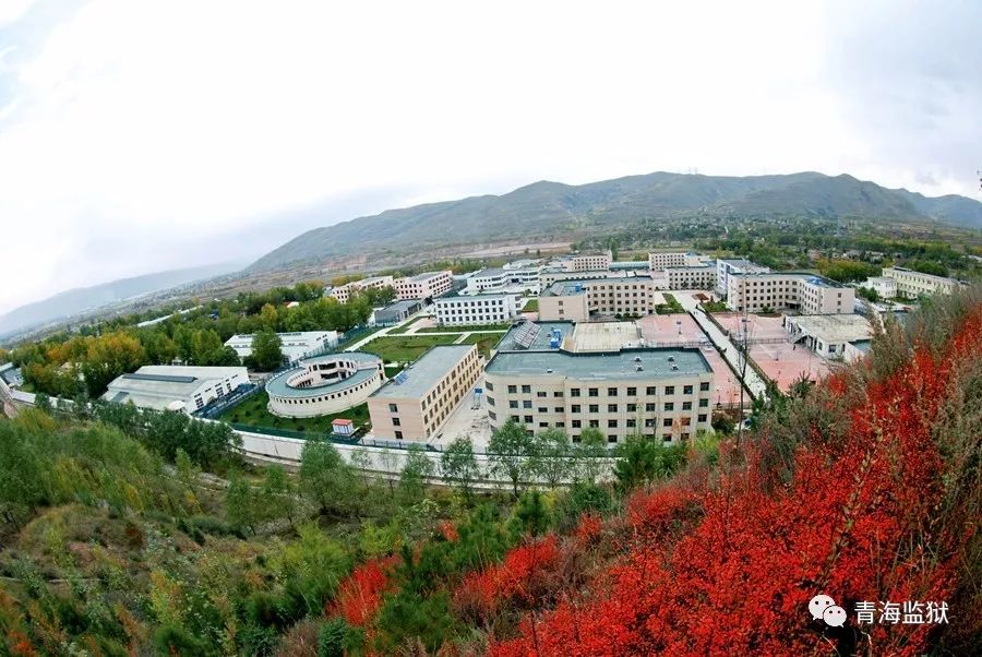 青海改革开放发展变化1000字,改革开放40年监狱变迁感言