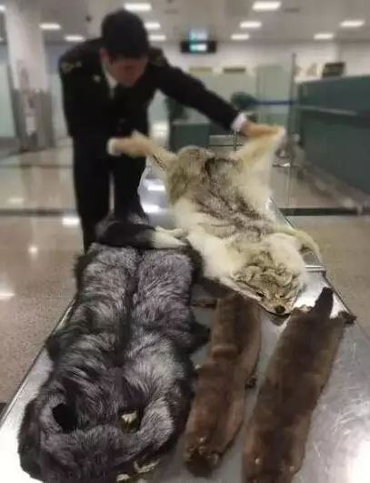 你代购吗？人肉代购回国开箱震惊所有人