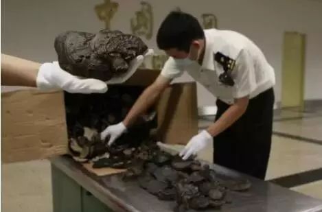 你代购吗？人肉代购回国开箱震惊所有人