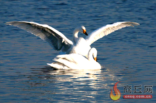 浠ユ按娑﹀煄浠ヤ笟鍏村煄,浠ユ按娑﹀煄