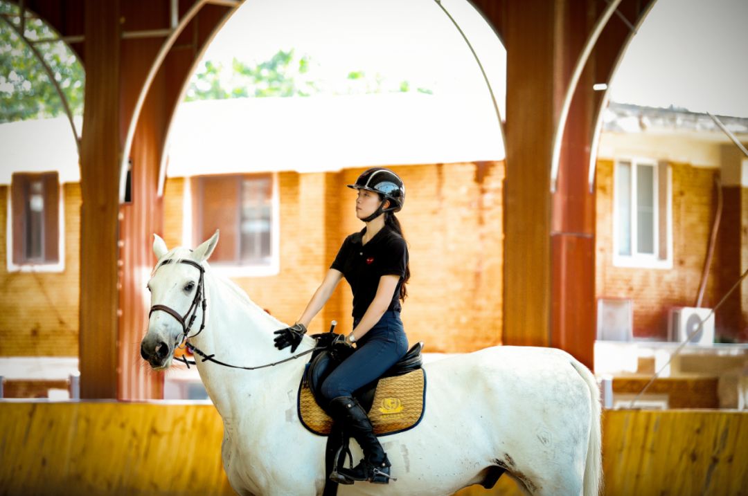 粤港澳台团体赛优秀骑手上线，谁将站上最高领奖台？