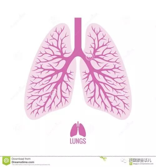 咳血咳出肺部组织,咳血然后咳几下就舒服了怎么回事