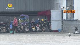 罐装槟榔和醉知味实体店价格,醉知味槟榔福建