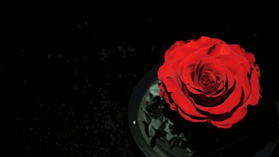 送女朋友的圣诞礼物推荐 (送女友的圣诞礼物好推荐)