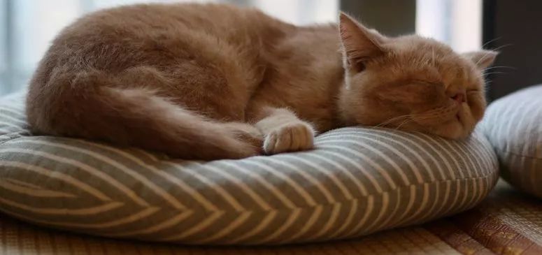 突发高烧淋巴肿大,90后女子发烧