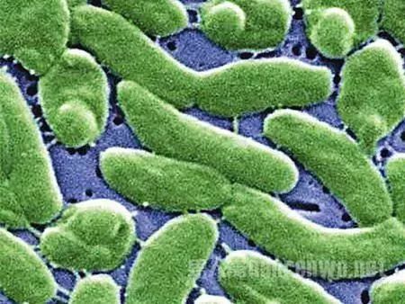 福建一男人发烧去世,一位小伙长期痔疮便血导致了死亡