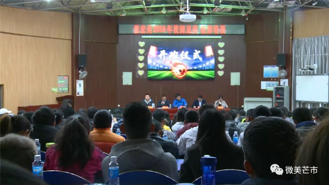 体育运动培训足球,运动训练骨干教师培训