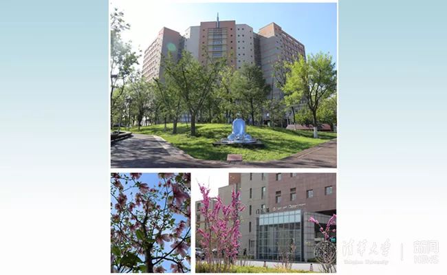 「四周年」清华长庚印象