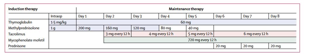 柳叶刀人造子宫,柳叶刀移植