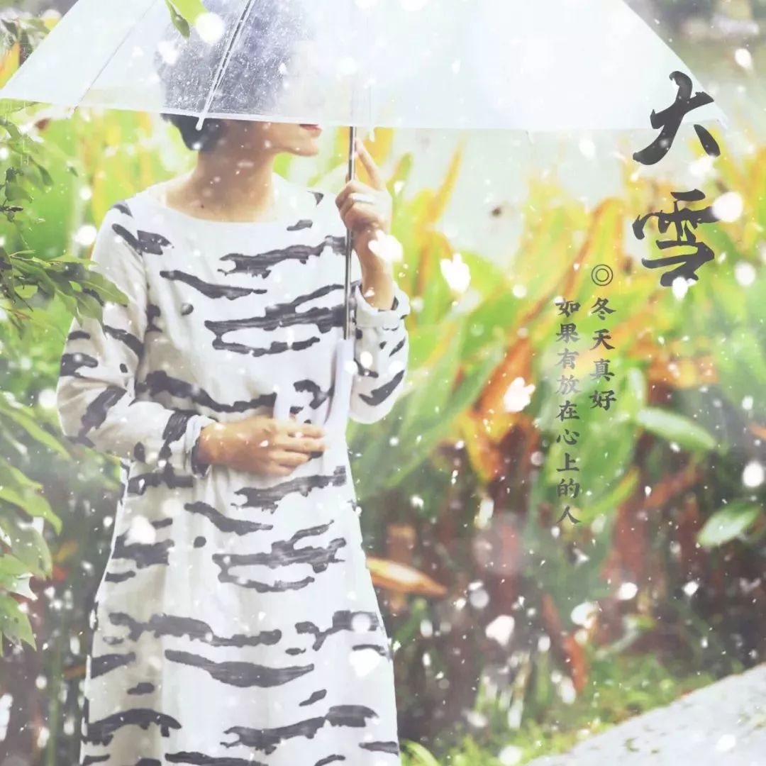 雪小禅在薄情的世界里深情的活着,优雅的老去雪小禅