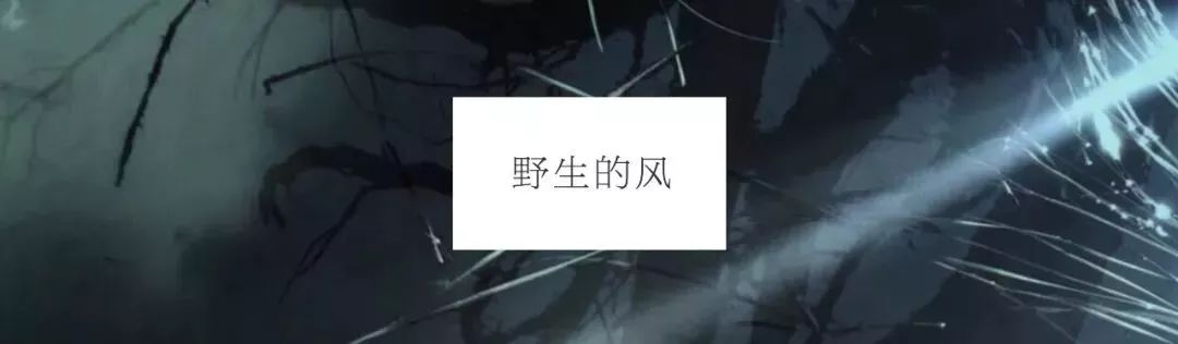 雪小禅在薄情的世界里深情的活着,优雅的老去雪小禅