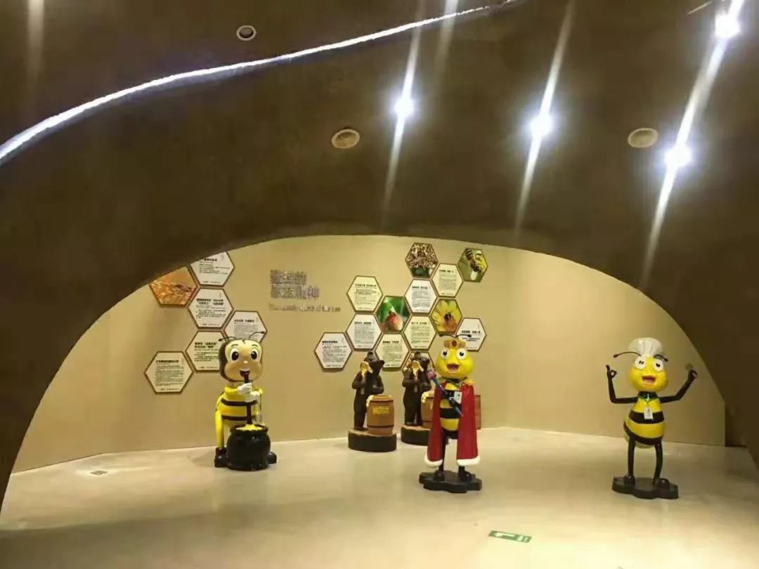 慧慧旅行的最新视频,慧游旅游