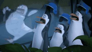 担心!这家哈达店的菜花紫甘蓝,那家地利生鲜的韭菜,还有这些家的菠菜油菜老黄瓜……丨13批次菜肉抽检腐霉利、毒死蜱检出不合格