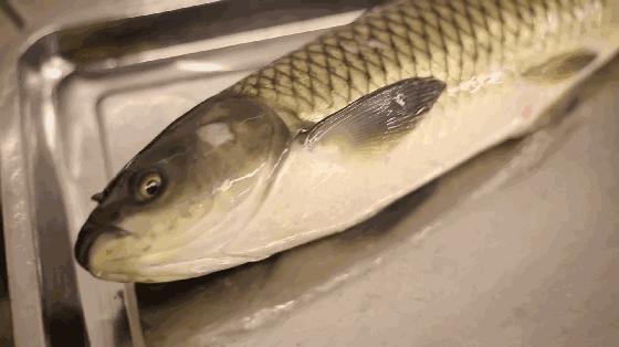 担心!这家哈达店的菜花紫甘蓝,那家地利生鲜的韭菜,还有这些家的菠菜油菜老黄瓜……丨13批次菜肉抽检腐霉利、毒死蜱检出不合格