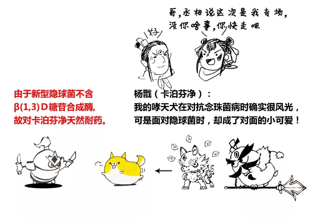 隐球菌治愈率高吗,隐球菌治好贵不贵