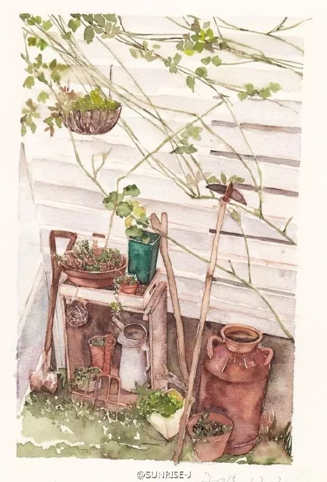 诗一样的多肉插画，像从宫崎骏的动漫世界里走出来一样~