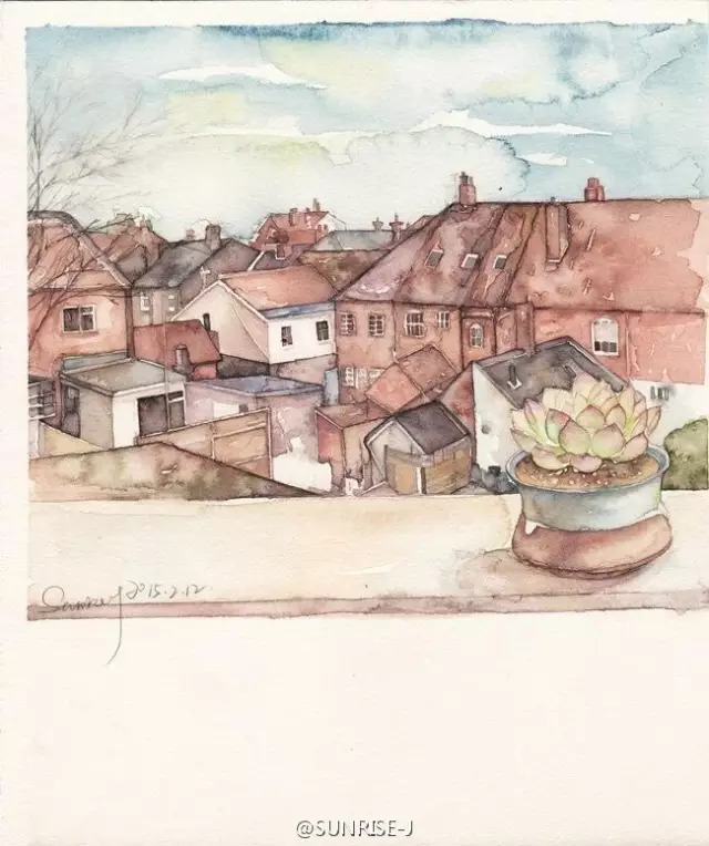 诗一样的多肉插画，像从宫崎骏的动漫世界里走出来一样~