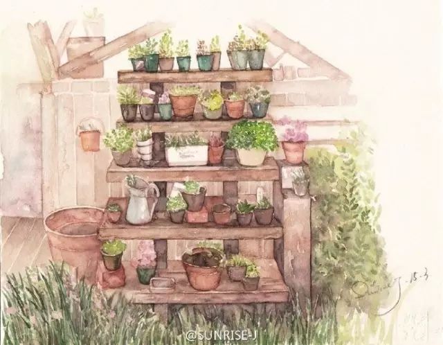 诗一样的多肉插画，像从宫崎骏的动漫世界里走出来一样~