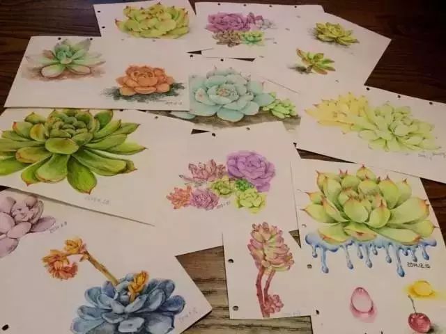 诗一样的多肉插画，像从宫崎骏的动漫世界里走出来一样~