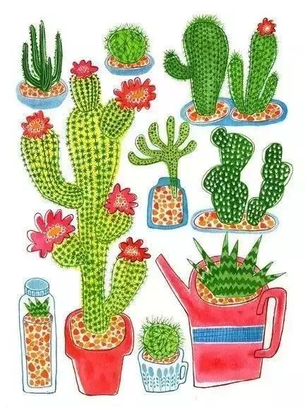 诗一样的多肉插画，像从宫崎骏的动漫世界里走出来一样~