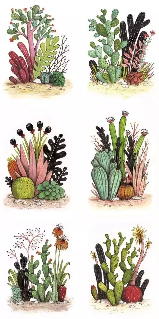 诗一样的多肉插画，像从宫崎骏的动漫世界里走出来一样~