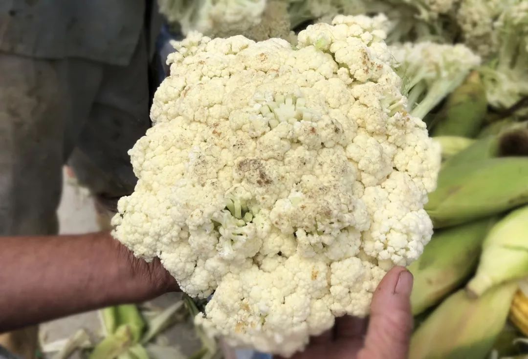 灌阳新圩美食,新圩镇有什么美食