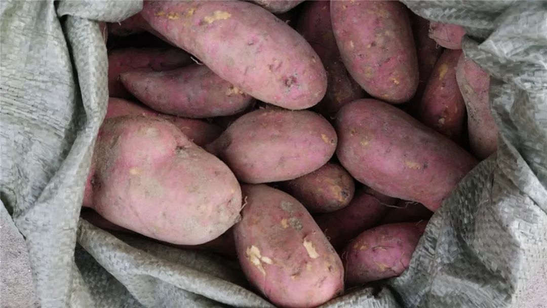 灌阳新圩美食,新圩镇有什么美食