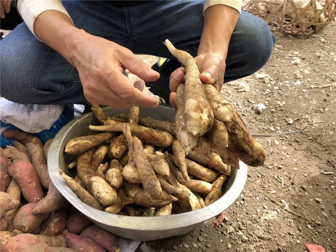 灌阳新圩美食,新圩镇有什么美食