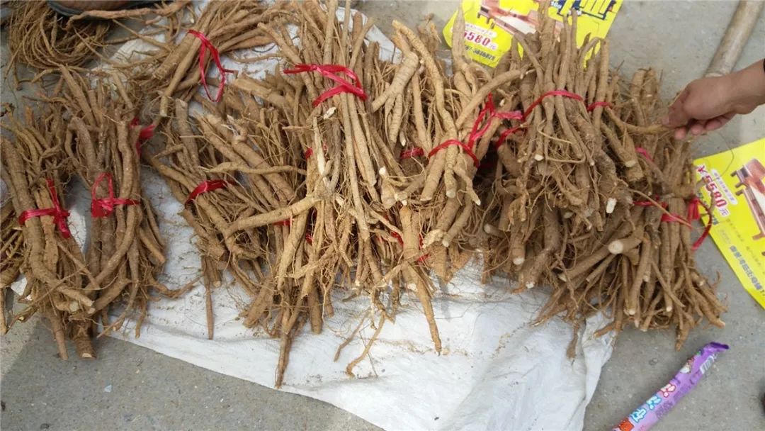 灌阳新圩美食,新圩镇有什么美食