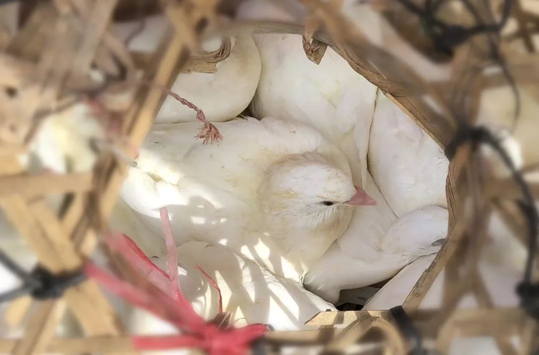 灌阳新圩美食,新圩镇有什么美食