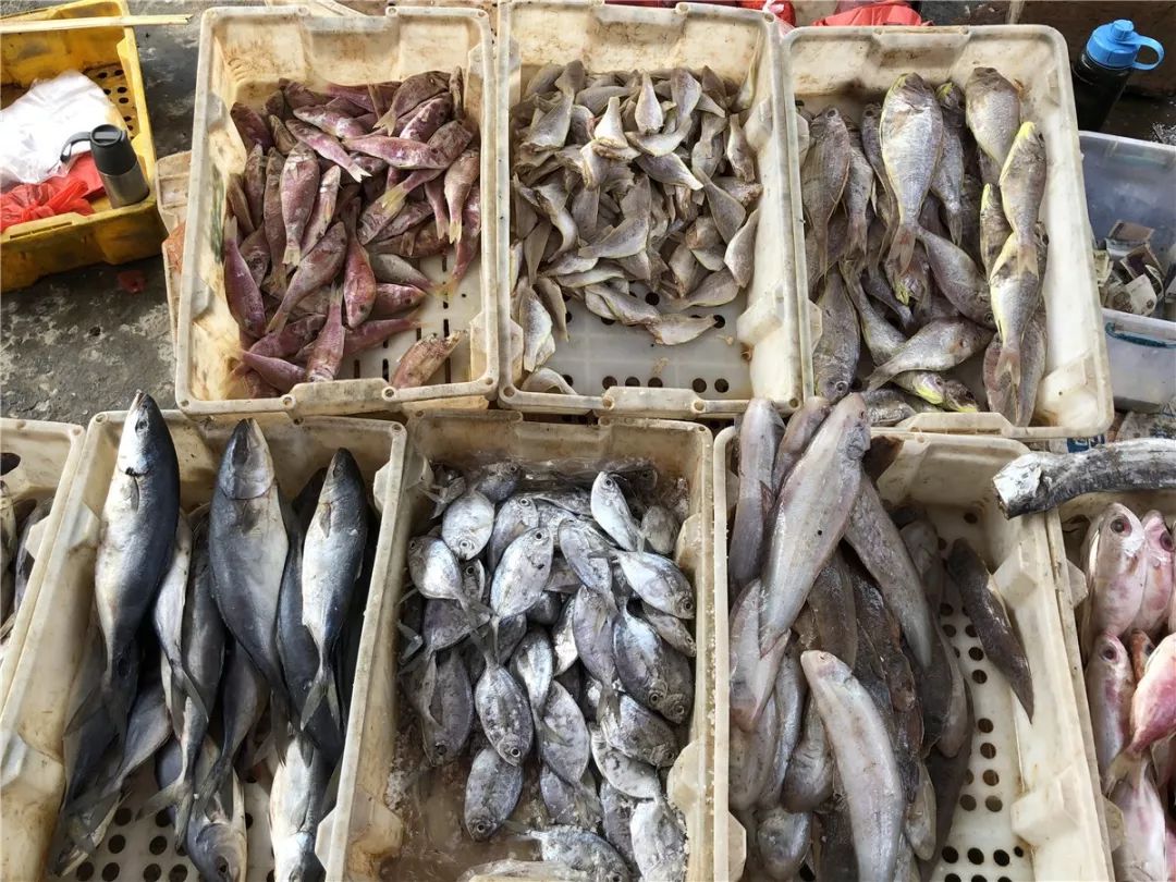 灌阳新圩美食,新圩镇有什么美食