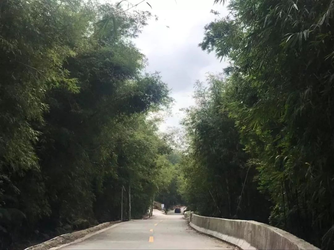 灌阳新圩美食,新圩镇有什么美食